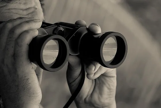 Como ser um detetive particular: trabalho de detetive